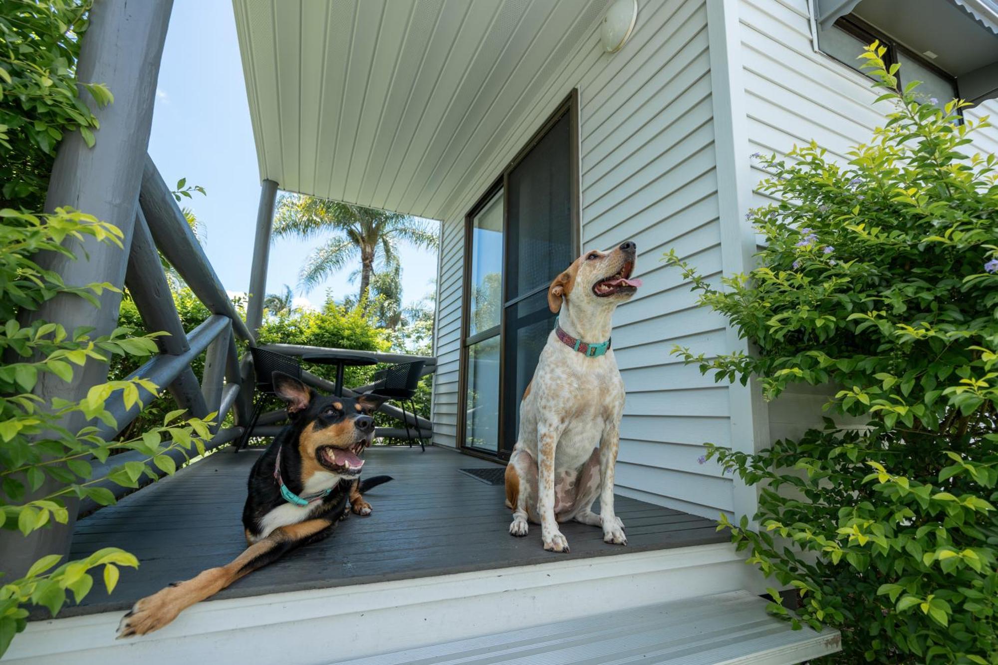 Tasman Holiday Parks - Hervey Bay Buitenkant foto