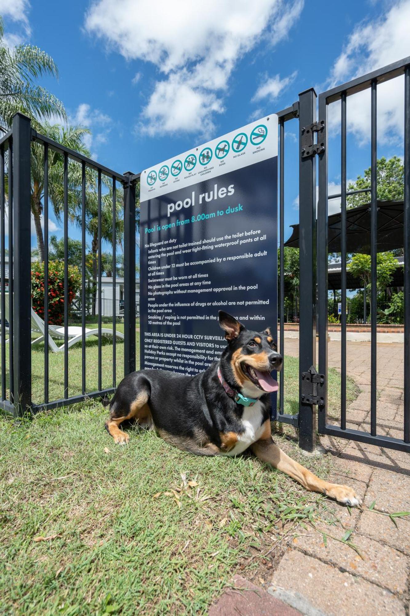 Tasman Holiday Parks - Hervey Bay Buitenkant foto